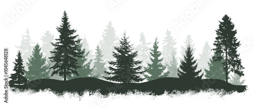 Coniferous forest. Silhouettes of pines, spruce trees. Vector illustration