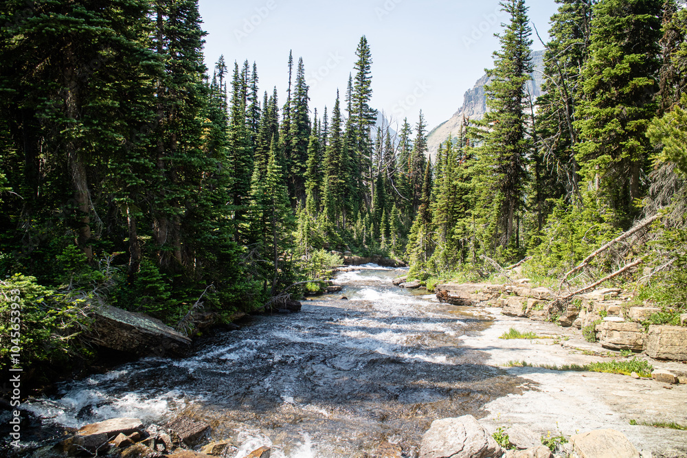 Siyeh bend from the Siyeh Pass Trail at Glacier national park, Montana, USA.
