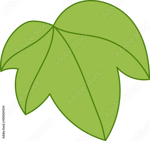 simple illustration of leaf