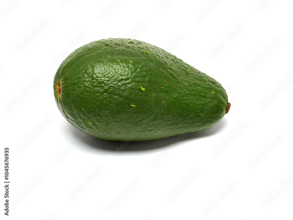 Fresh Fuerte Avocado Isolated on a White Background Fresh Fuerte Avocado Isolated on a White Background