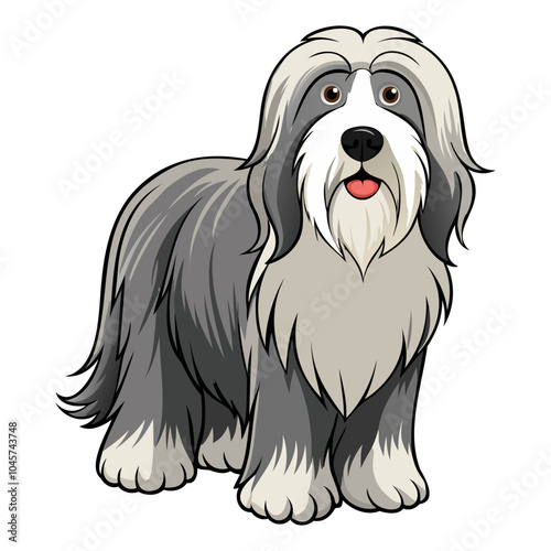 Bearded Collie Dog breed vector illustration isolated on white background in cartoon style.