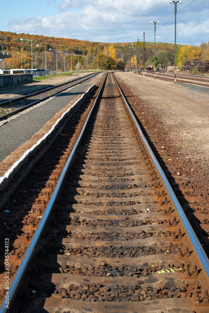 Naklejka premium railway tracks in the countryside