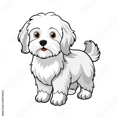 Bolognese dog breed vector illustration isolated on white background in cartoon style.