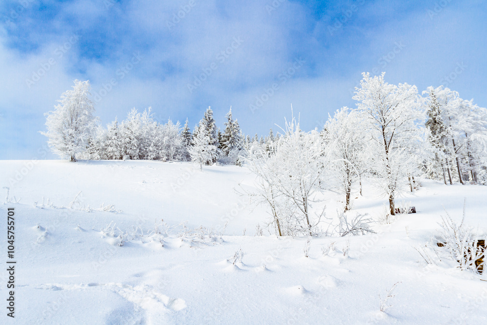 View of winter landscape. Frosted trees and bushes in Polish mountains. The Beskid mountains, Koszarawa, Silesia, Poland View of winter landscape. Frosted trees and bushes in Polish mountains. The Beskid mountains, Koszarawa, Silesia, Poland