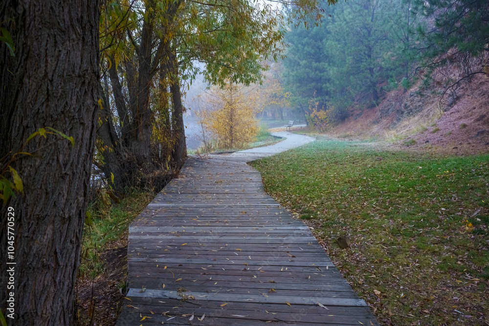Fototapeta premium Fish Lake Fall