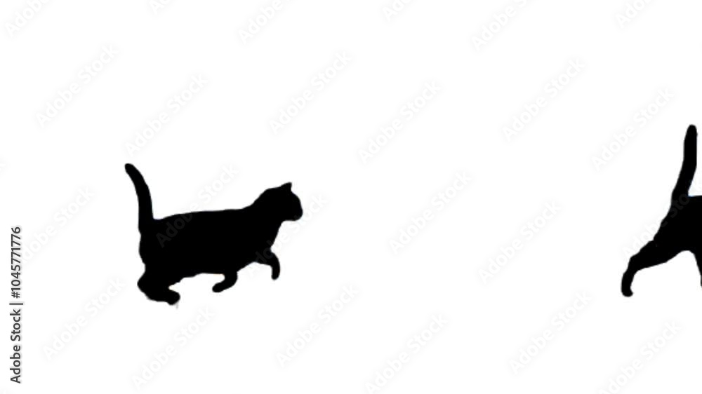 Silhouette of a cat running across a vibrant yellow screen background. Animation depicting a black cat walking	