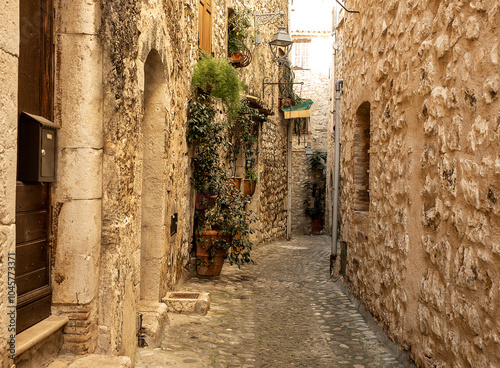 cobbled alley lined with stone houses and plants climbing a wall in a picturesque old village in Provence, France