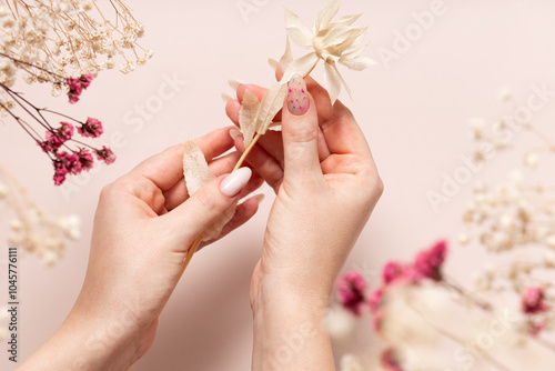 Spring manicure of women's hands with white gel polish and dried flower design. Female hands hold dried gypsophila and safflower flowers bleached on a beige background.