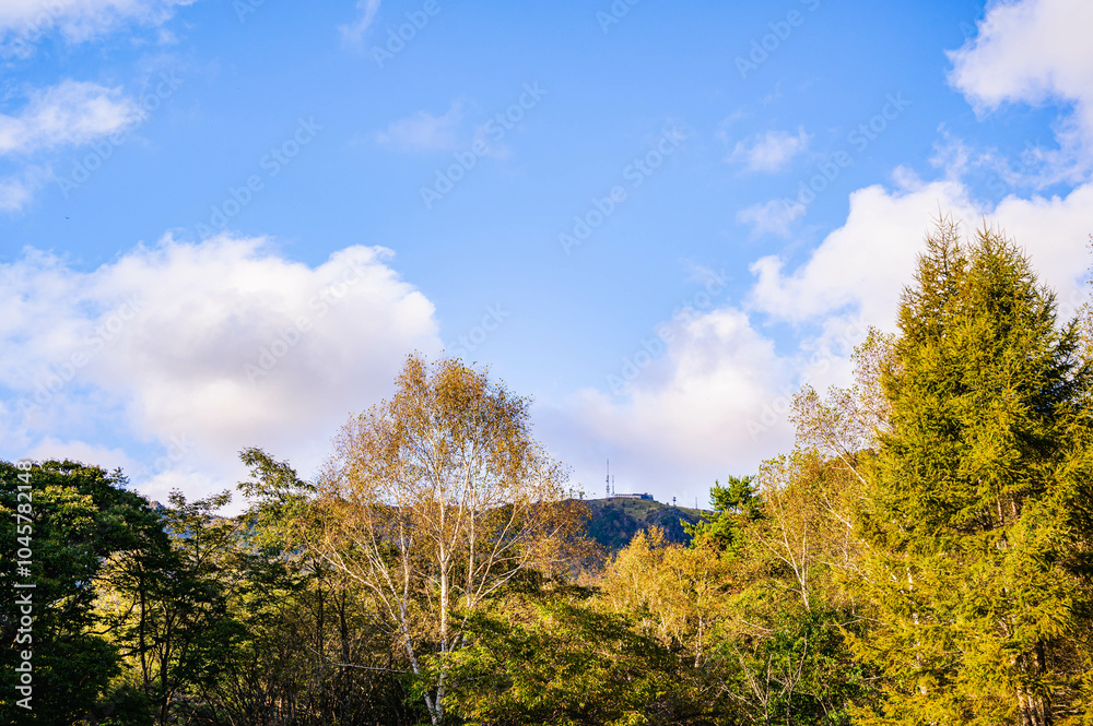 三城牧場から見上げる電波塔　美ヶ原