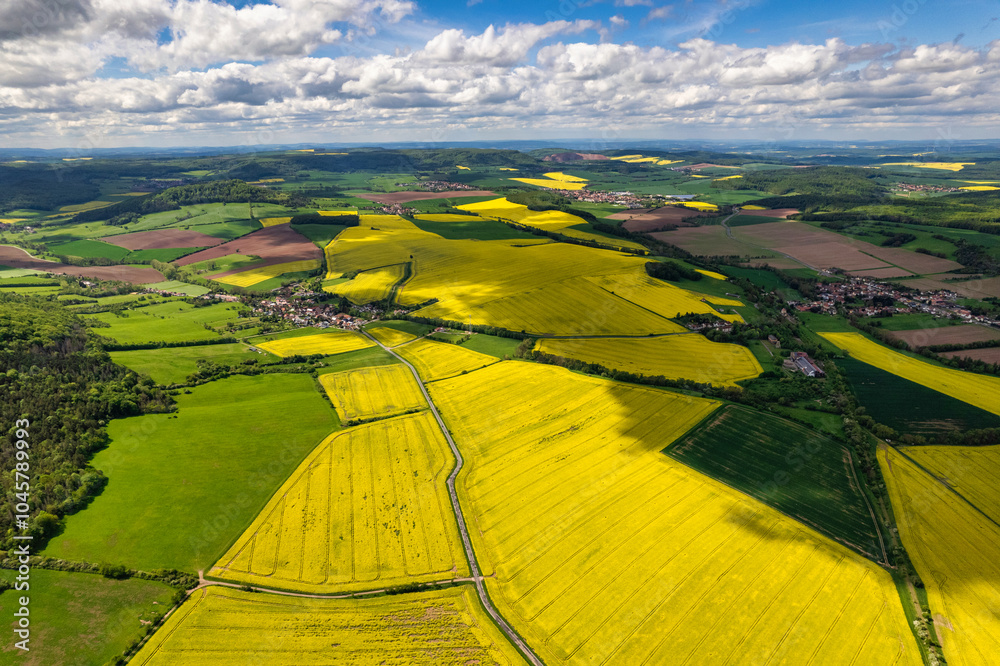 Top view of rapeseed fields. Yellow rapeseed field with stripes and abstract landscape. Germany.