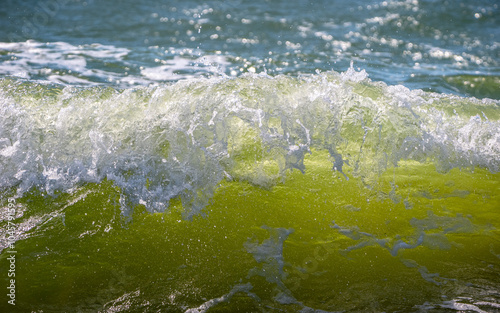 Fresh, crisp marine wave splash shallow depth of field close up.