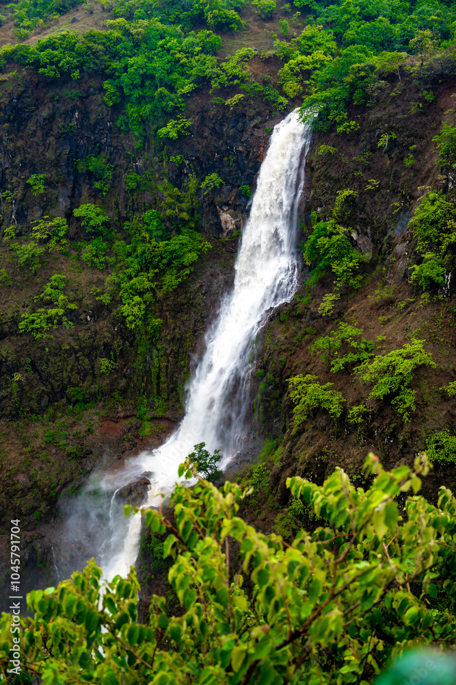 waterfall in jungle