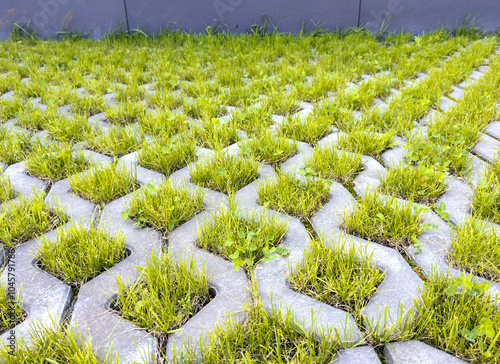 Fragment of a concrete lawn grid
