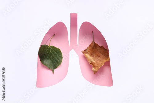 Paper cut out lungs with fr...