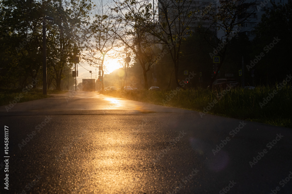 Sunlight glimmers on a wet street in the early morning, casting a warm glow beneath the trees at dawn Sunlight glimmers on a wet street in the early morning, casting a warm glow beneath the trees at dawn