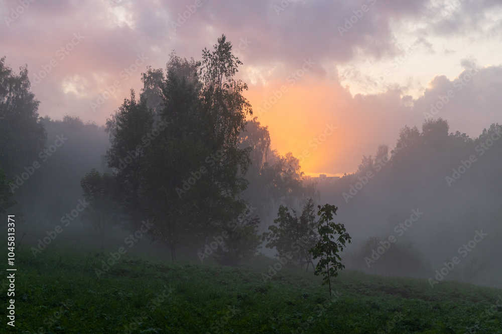 Misty dawn breaks through trees in a tranquil landscape, revealing a soft orange glow in the early morning sky Misty dawn breaks through trees in a tranquil landscape, revealing a soft orange glow in the early morning sky