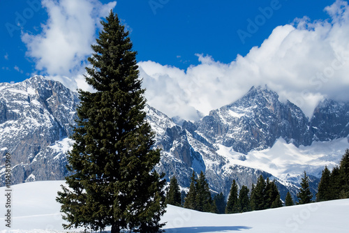 snow covered mountains