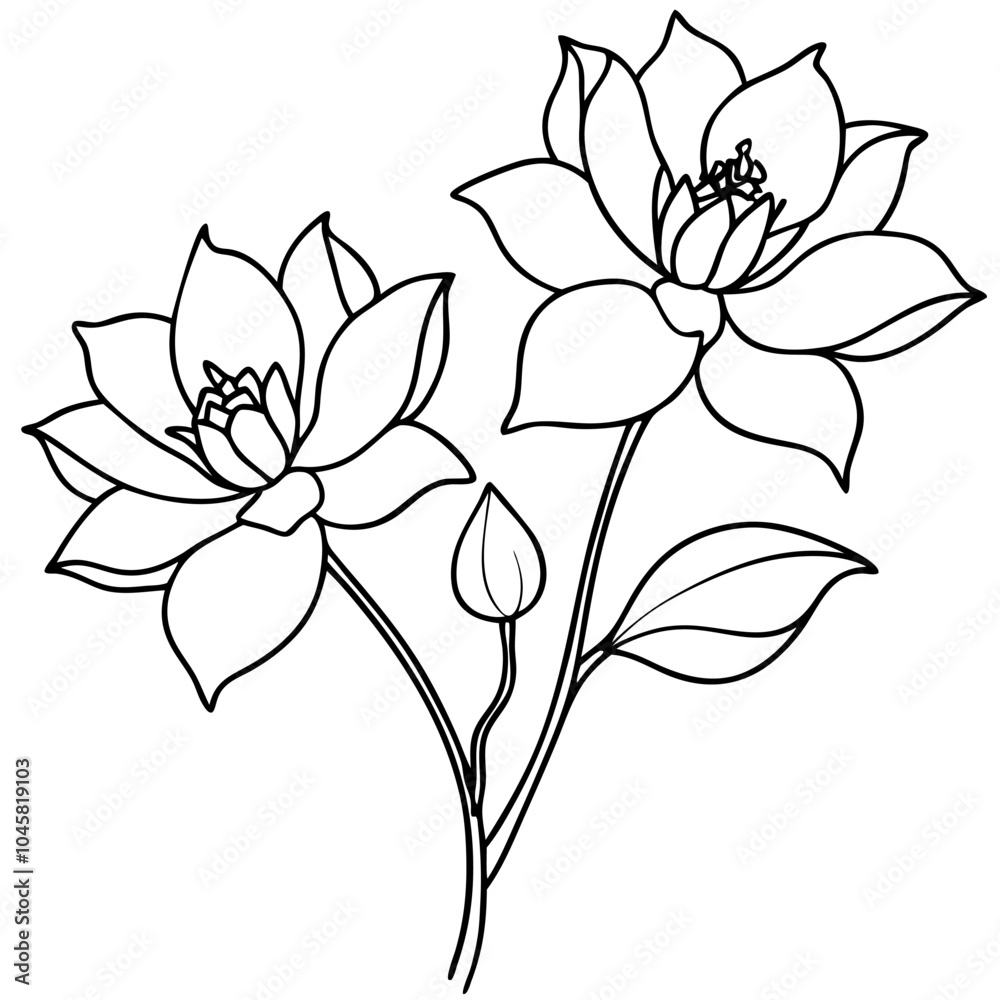 Obraz premium lily flower isolated on white background. and flower with leaf. 