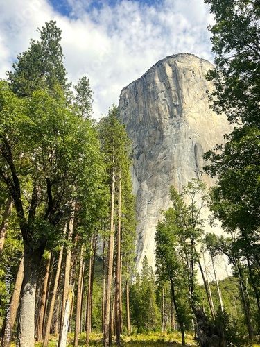View of El Capitan in Yosemite