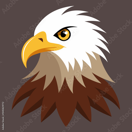 american bald eagle illustration