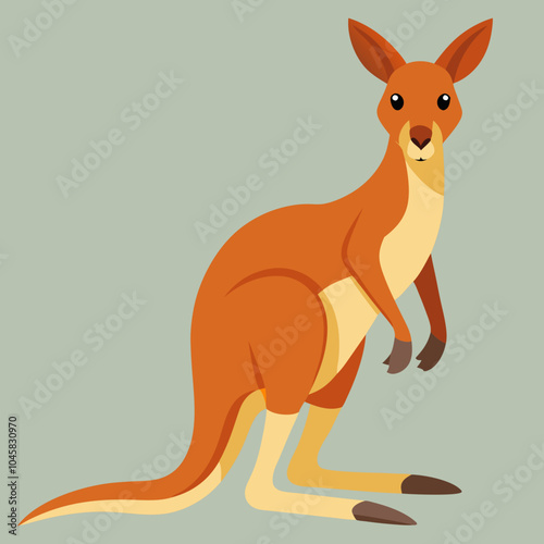 kangaroo with baby photo