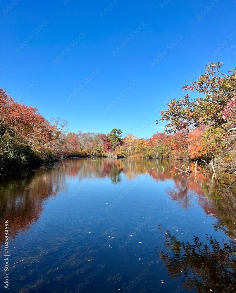 autumn in the state park autumn in the state park