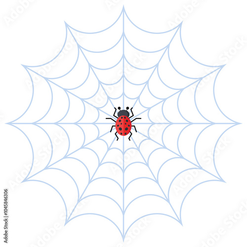 spider on web