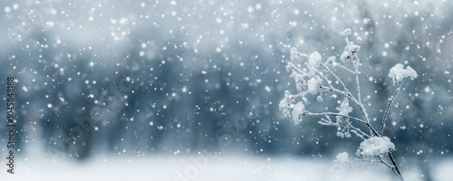 it is snowing in the forest, snow-covered dry plants in the forest on the meadow during snowfall