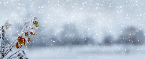 atmospheric winter view, snow-covered plants on the river bank during heavy snowfall