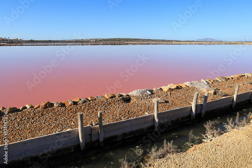 Retaining dikes in the pink lagoon of the saltworks of Santa Pola town, Spain photo