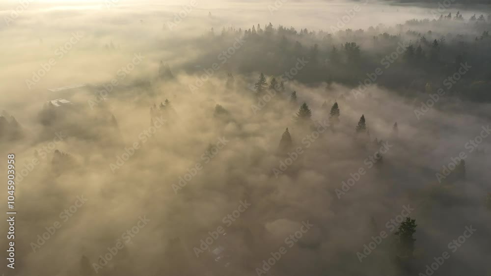 Early morning fog drifts through the Willamette Valley in West Linn, Oregon. This scenic area lies just south of the Pacific Northwest city of Portland.