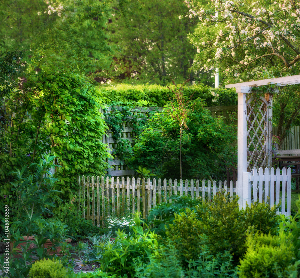 Garden, fence and plants with landscaping design for gardening, sustainability or backyard. Foliage, wooden structure or boundary hedge with landscape background for property, architecture and growth Garden, fence and plants with landscaping design for gardening, sustainability or backyard. Foliage, wooden structure or boundary hedge with landscape background for property, architecture and growth