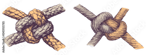 Hand drawn two strong nautical knots of  rigging ropes, vector illustration isolated on white