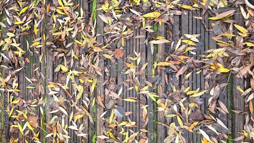 planche de bois recouverte de petite feuille morte colorée jaune vert rouge brun marron photo