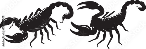 Scorpion silhouette vector EPS  SET