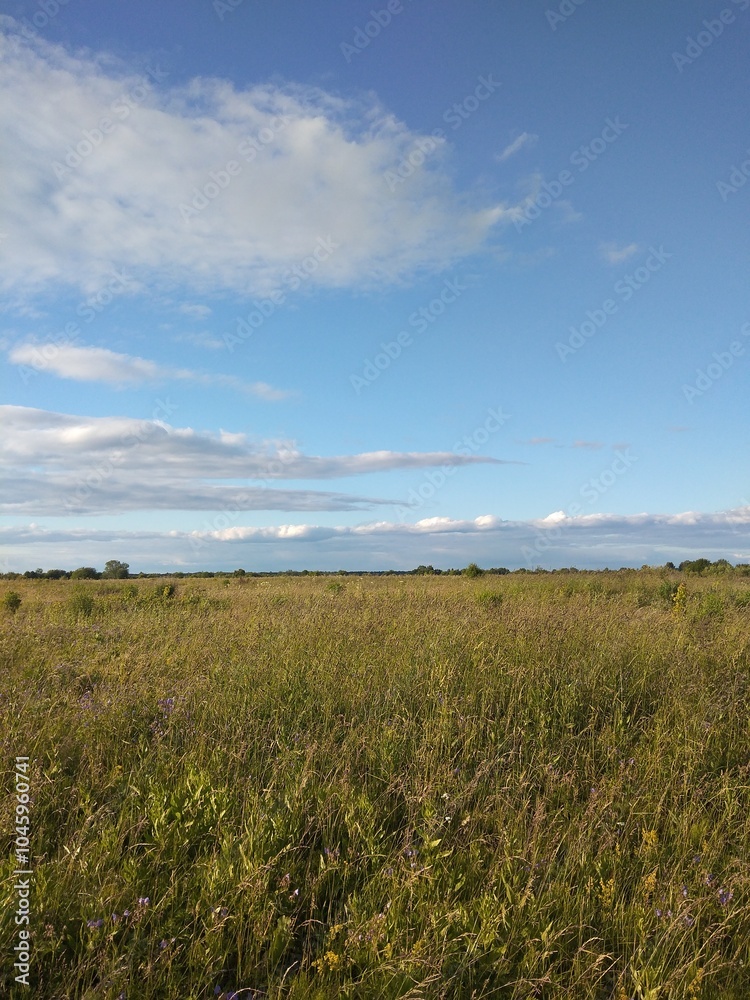 Fototapeta premium smfield, sky, nature, clouds, summer, autumnart