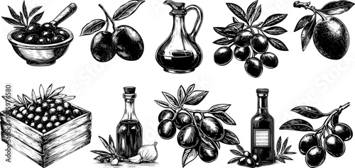 Vector sketch illustration of olive and oil bottle set. Hand drawn food composition in vintage style.