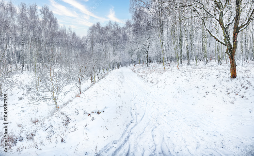 Fototapeta premium Amazing landscape with snow-covered trees in the city park.