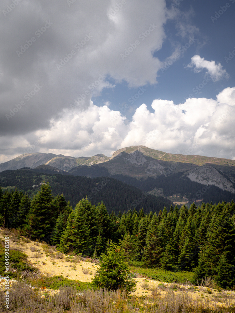 Obraz premium view of the Ilgaz mountain