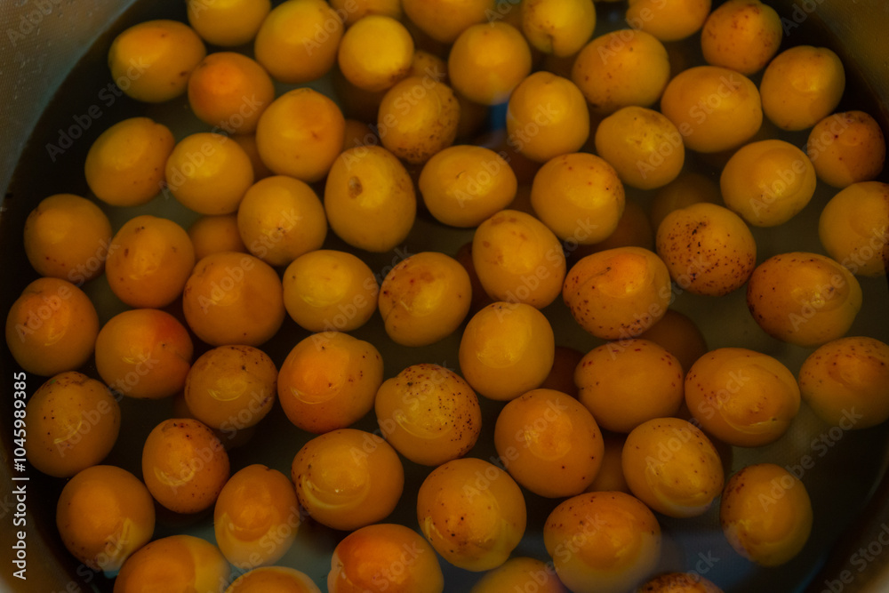 apricot in the sink