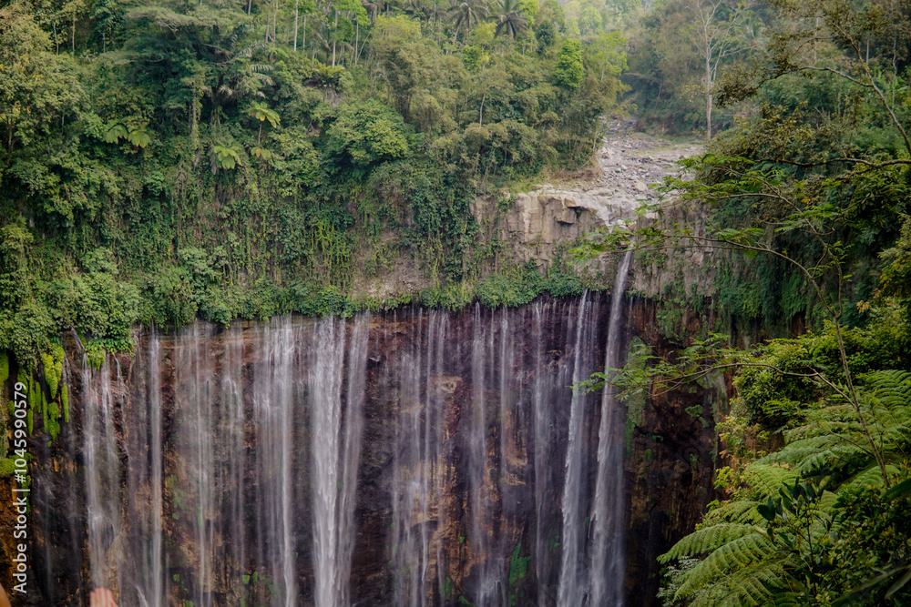 Obraz premium waterfall in the forest