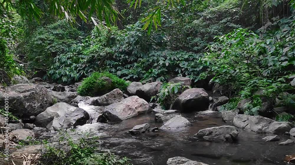 The beautiful view of forest river