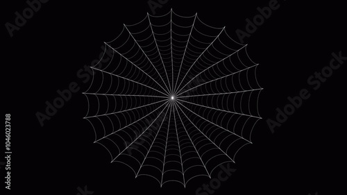 Cobweb. A circular arrangement of white dots appears against a black background