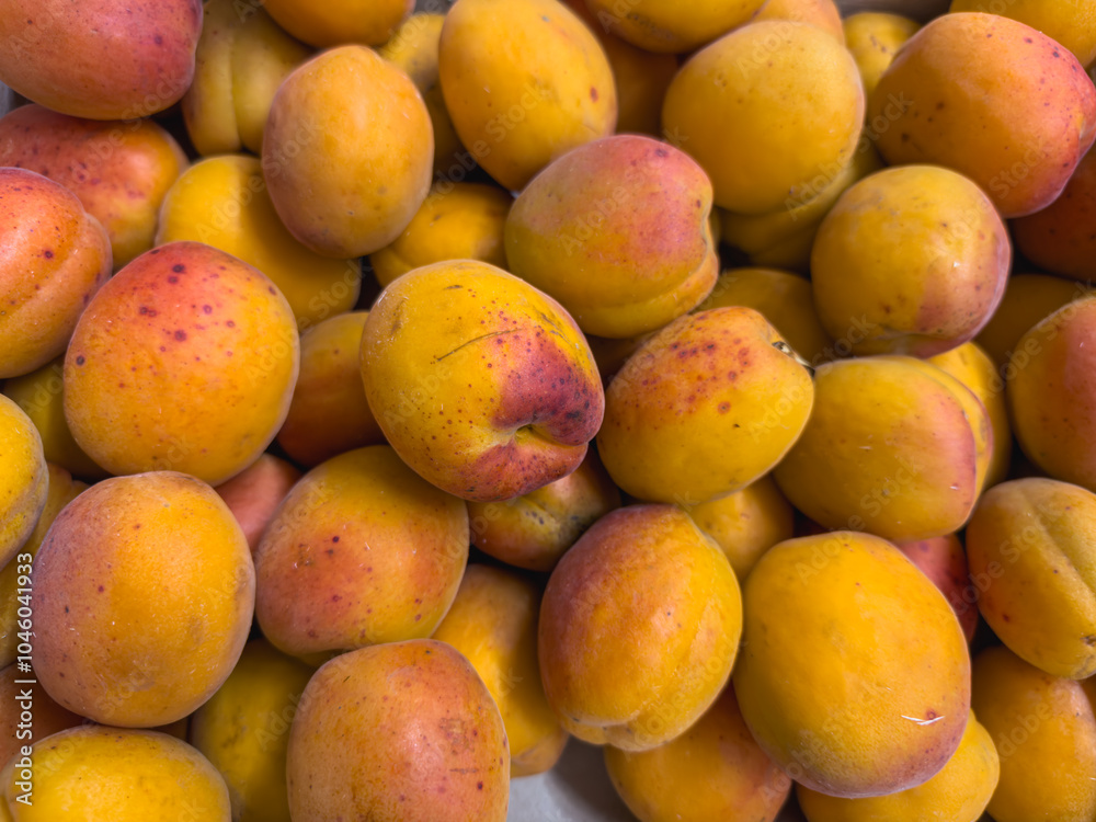 Close-up of ripe Organic Lady Cot apricots in wooden crates, prepared for sale. Lady Cot is one of the most interesting and widespread mid-late ripening apricot varieties in Europe and Italy Close-up of ripe Organic Lady Cot apricots in wooden crates, prepared for sale. Lady Cot is one of the most interesting and widespread mid-late ripening apricot varieties in Europe and Italy