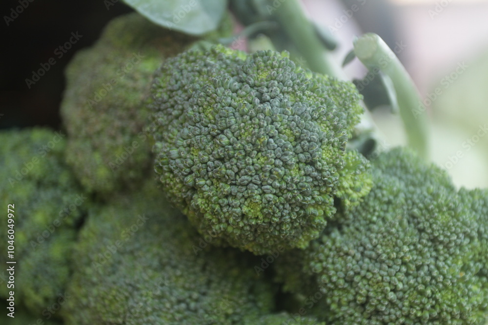 broccoli close up broccoli close up