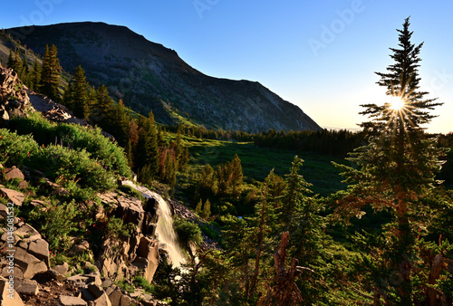 Canvas Print The morning sun bursts through a fir tree and brightens Galena Creek Falls along the Tahoe Rim Trail in the Humboldt-Toiyabe National Forest in Nevada