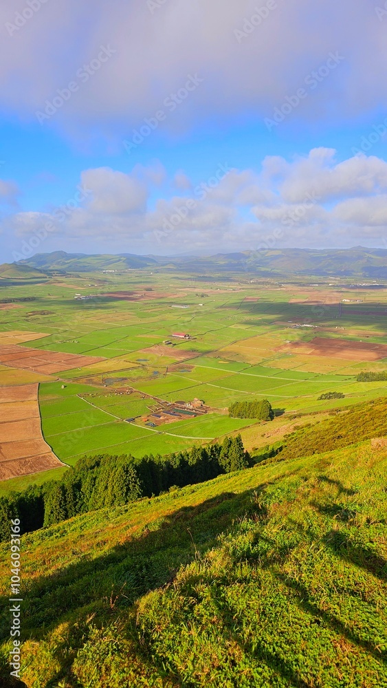 Fototapeta premium field and blue sky