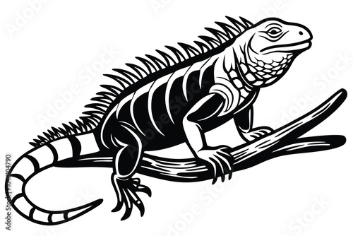 Iguana on Branch in Black and White, Embracing Nature, Vector Illustration Isolated on White Background.