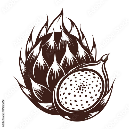 Drawings of dragon fruit silhouette vector illustration Isolated white background.