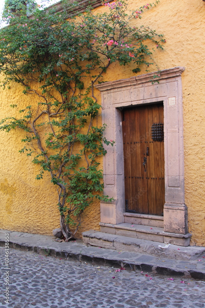 Obraz premium antique yellow house with majestic wooden door next to a growing vine in San Miguel de Allende, Mexico